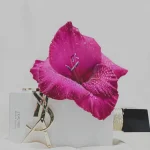 ادکلن لیبر لو نو  Libre L’Eau Nue - Image 3