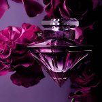 عطر ادکلن لانکوم لا نویت ترزور له پارفوم - Image 3
