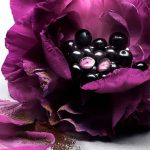 عطر ادکلن لانکوم لا نویت ترزور له پارفوم - Image 4